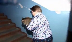 Emouvant Un Bebe Singe Content De Retrouver Sa Sur Orange Videos