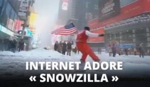 Best-of : les meilleures vidéos de la tempête Snowzilla