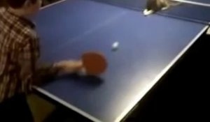 Une étonnante partie de ping pong