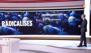 Lutte contre le terrorisme : l'état de la radicalisation en France