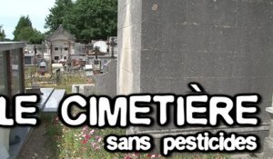 Le cimetière sans pesticides : trucs & astuces des communes engagées dans la démarche Terre Saine communes sans pesticides