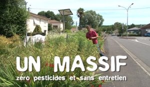 Les massifs sans pesticides et sans entretien : trucs & astuces des communes engagées dans la démarche Terre Saine communes sans pesticides