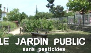 Le jardin public sans pesticides : trucs & astuces des communes engagées dans la démarche Terre Saine communes sans pesticides