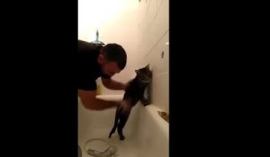 Ce chat est très patient lorsqu'on lui fait la douche