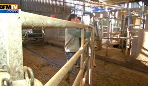 Crise agricole: un producteur de lait témoigne de sa détresse