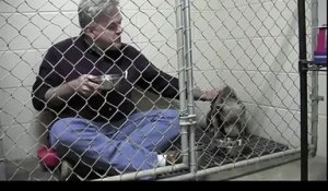 Un vétérinaire mange dans une cage avec un chien craintif