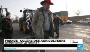 Les mesures de Valls sont-elles suffisantes pour aider l'agriculture française ?