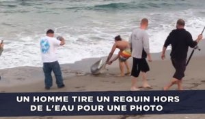 Un homme tire un requin hors de l'eau pour prendre une photo avec lui