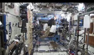 Un gorille à bord d'ISS