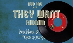 DUB INC - Megamix ("They Want Riddim")