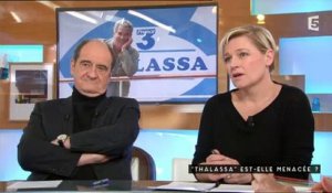 Georges Pernoud se confie sur "Thalassa" sur France 3 - Regardez