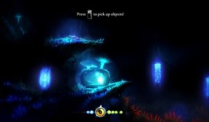 Ori and the Blind Forest : Definitive Edition - Perle de lumière