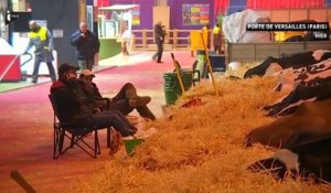 Primaire des Républicains: opération séduction au Salon de l'agriculture