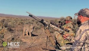 Un lynx face à des chasseurs dans le désert américain