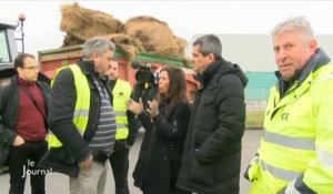 Crise agricole : La Coordination rurale se mobilise (Vendée)