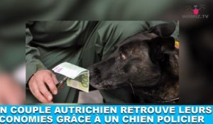 Un couple autrichien retrouve leurs économies grâce à un chien policier ! L'histoire dans la minute chien #156