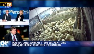 Maltraitance à l'abattoir de Soule:  la confédération française de la boucherie "scandalisée"