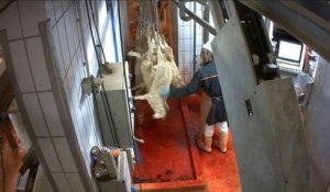 Sévices sur animaux: Le Foll ordonne des inspections dans tous les abattoirs d'ici un mois