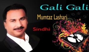 Mumtaz Lashari - Gali Gali