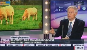 Idées de placements: Investir dans les vaches laitières - 24/03