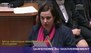 Fin de la trêve hivernale : Emmanuelle Cosse répond à une question au Gouvernement