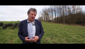 REGION LRMP - 2016 - Rencontre avec Jean-Louis Cazaubon (viticulture, agroalimentaire)