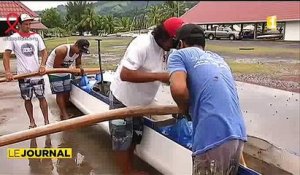 Le team Rangiroa à l’assaut de du marathon Va’a Polynésie 1ère