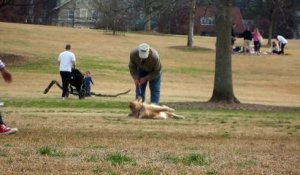 Malicieux, il simule sa mort pour rester au parc