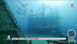 Floride : une exposition sous-marine sur une épave