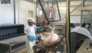 Au cœur de l'abattoir de Quintin