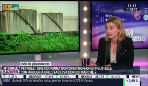 Idées de placements: Une coopération Opep/Non-Opep stabilisera-t-elle le marché du pétrole ? - 06/04