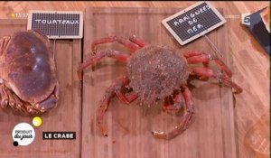 Notre produit du jour : le crabe