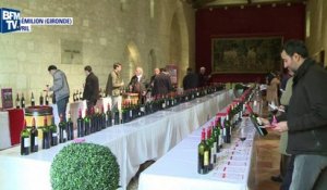 Cru 2015 exceptionnel pour les vins de Bordeaux