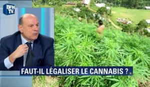 Le Guen: "Le PS doit réfléchir à la fin de la prohibition du cannabis"