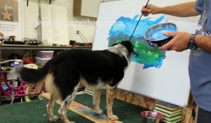 Ce chien peint un paysage tout seul guidé par son maître ! Picasso n'est pas mort - Jumpy dog art !