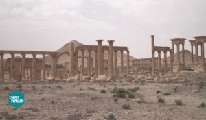 Teaser - Syrie : Avec l'armée russe à Palmyre - L'Effet Papillon du 17/04 - CANAL+