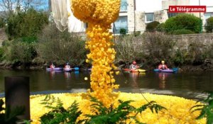 Quimper. La foule pour la course des 12.000 canards