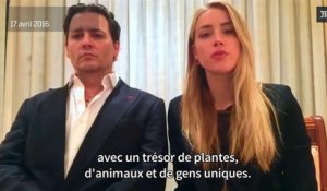 Johnny Depp et Amber Heard s'excusent en vidéo pour avoir fait entrer leurs chiens en Australie