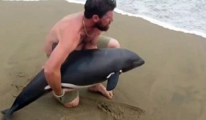 Un moniteur de kayak sauve un dauphin échoué sur la plage