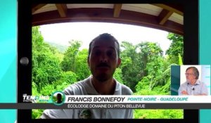 Eco-tourisme, encore un tourisme de niche ? - LTOM