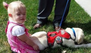 Un labrador sauve la vie de Sadie, 4 ans, atteinte de diabète et de trisomie 21