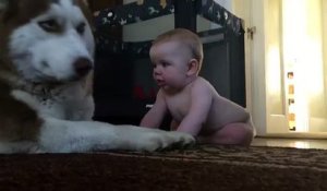 Moment calin entre un bébé et un husky. Tellement chou