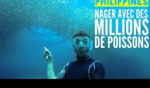 PHILIPPINES : Nager avec des MILLIONS DE POISSONS