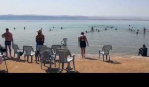 Jordanie : visite de la Mer Morte & des écuries royales
