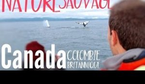 COLOMBIE-BRITANNIQUE : le paradis des AMOUREUX de la NATURE