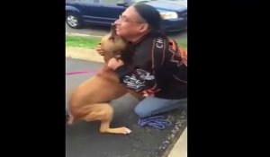 Cet homme retrouve son chien volé après 2 ans... Emouvant !