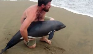 Sauvetage d'un bébé dauphin échoué sur la plage par un prof de Kayak en Namibie