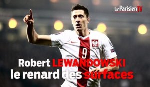 Euro 2016, Robert Lewandowski : le renard des surfaces