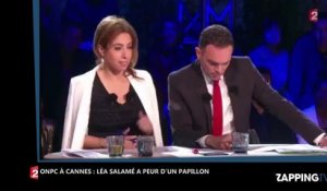 ONPC à Cannes : Léa Salamé attaquée par un papillon, elle se ridiculise face à Laurent Ruquier (Vidéo)