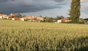 En Haute-Garonne, un arrêté municipal interdit l'utilisation de produits phytosanitaires - Le 24/05/2016 à 07h10